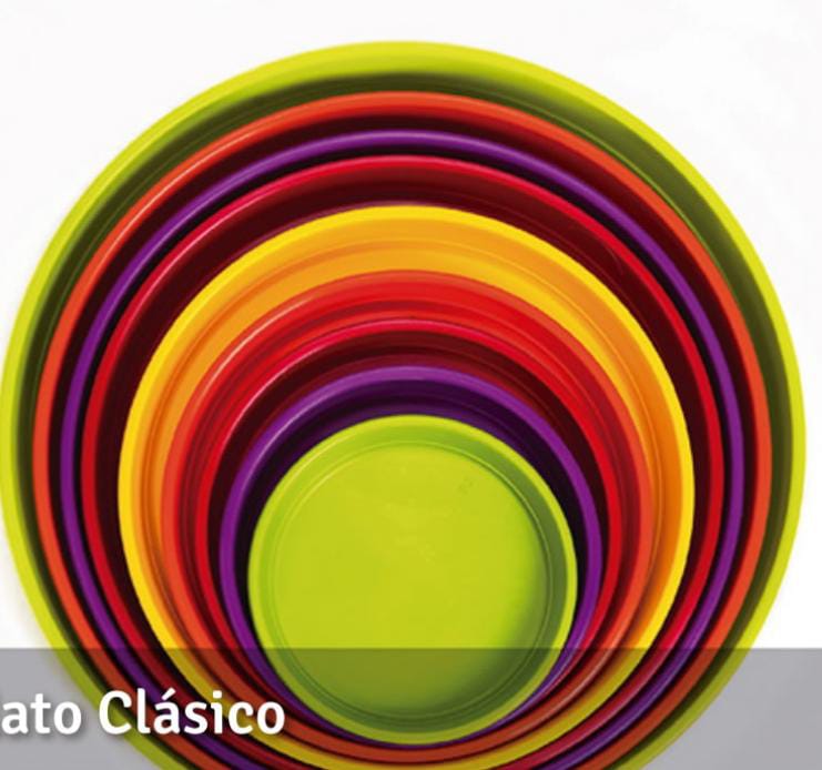 Plato clasico TA N°12